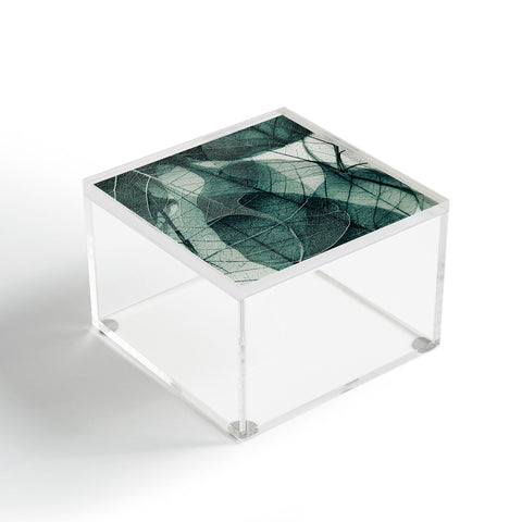 Ingrid Beddoes Olive Green Acrylic Box
