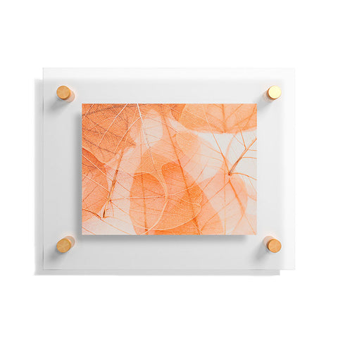 Ingrid Beddoes Orange marmalade Floating Acrylic Print