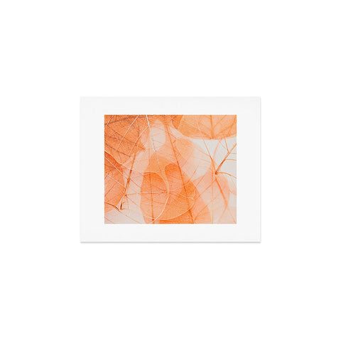 Ingrid Beddoes Orange marmalade Art Print