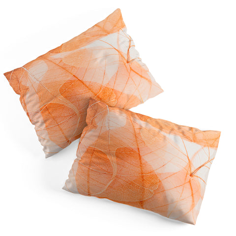 Ingrid Beddoes Orange marmalade Pillow Shams