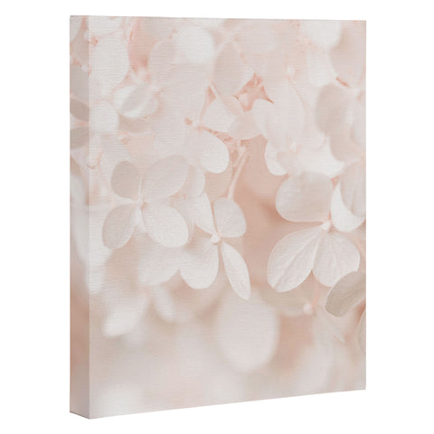 Ingrid Beddoes Peach Melba Art Canvas
