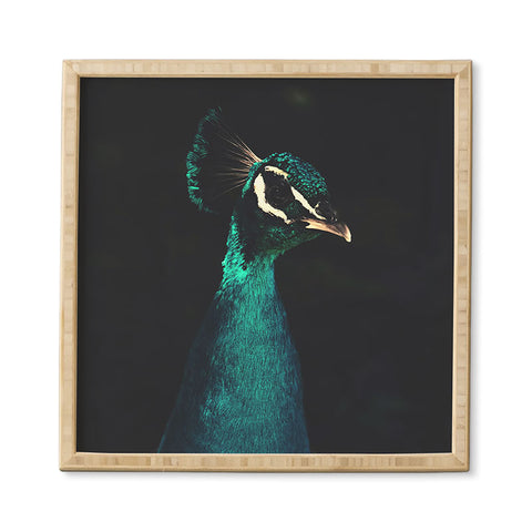 Ingrid Beddoes Peacock and Proud Framed Wall Art