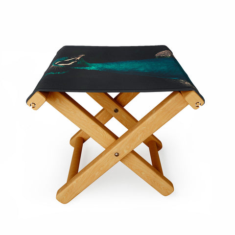 Ingrid Beddoes Peacock and Proud Folding Stool