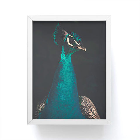 Ingrid Beddoes Peacock and Proud Framed Mini Art Print