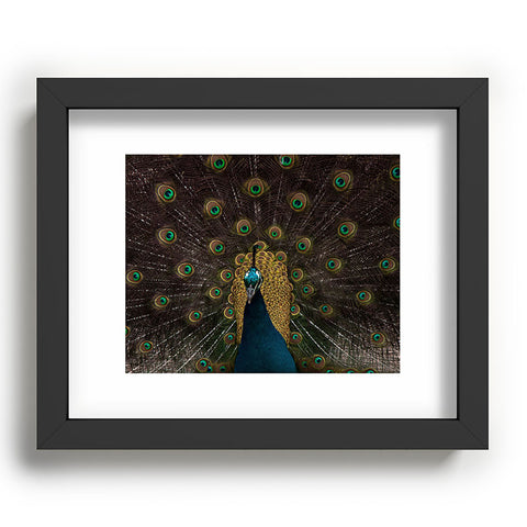 Ingrid Beddoes Peacock and proud III Recessed Framing Rectangle