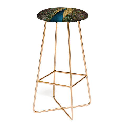 Ingrid Beddoes Peacock and proud III Bar Stool