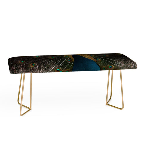 Ingrid Beddoes Peacock and proud III Bench