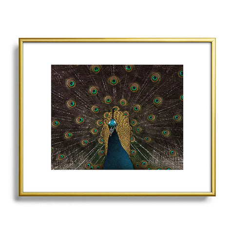 Ingrid Beddoes Peacock and proud III Metal Framed Art Print