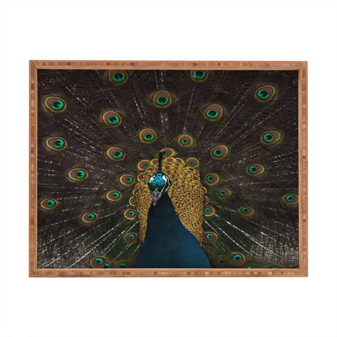 Ingrid Beddoes Peacock and proud III Rectangular Tray