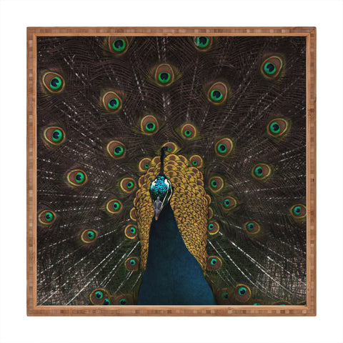 Ingrid Beddoes Peacock and proud III Square Tray