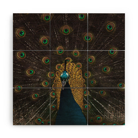 Ingrid Beddoes Peacock and proud III Wood Wall Mural