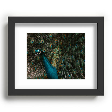 Ingrid Beddoes Peacock and proud IV Recessed Framing Rectangle