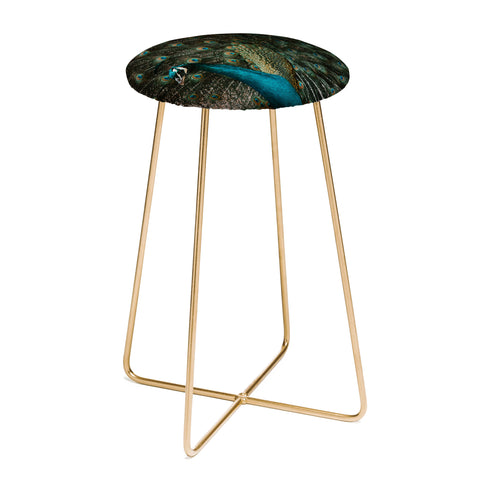 Ingrid Beddoes Peacock and proud IV Counter Stool