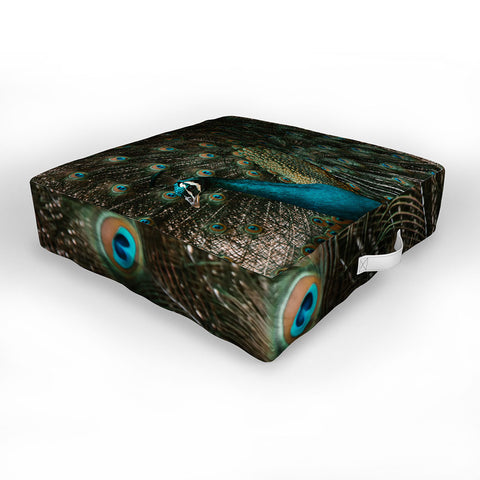 Ingrid Beddoes Peacock and proud IV Outdoor Floor Cushion