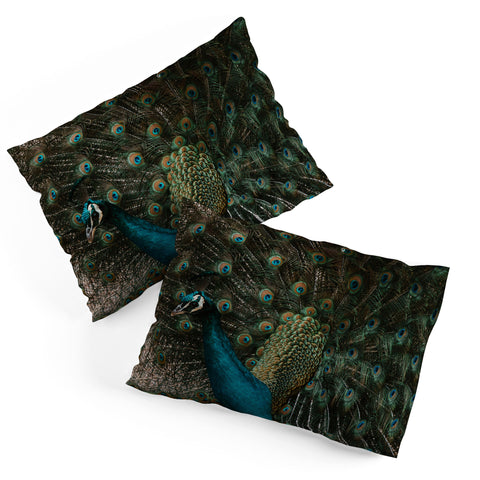 Ingrid Beddoes Peacock and proud IV Pillow Shams