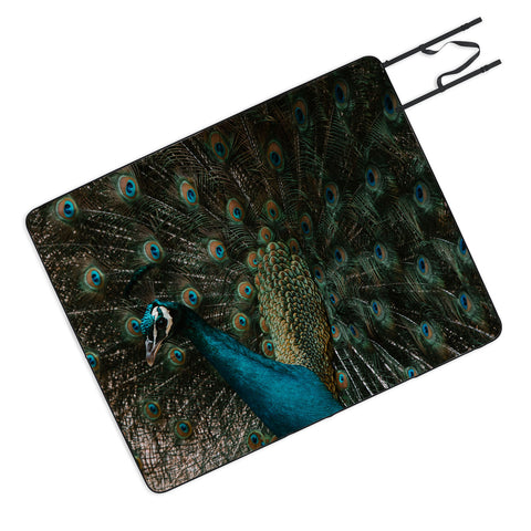 Ingrid Beddoes Peacock and proud IV Picnic Blanket