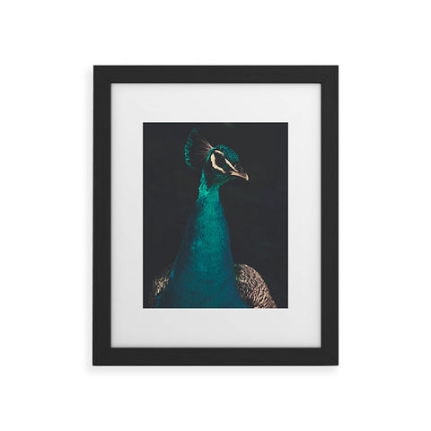 Ingrid Beddoes Peacock and Proud Framed Art Print