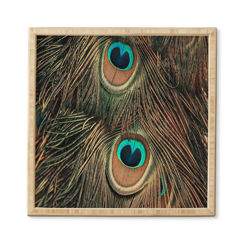 Ingrid Beddoes peacock feathers II Framed Wall Art