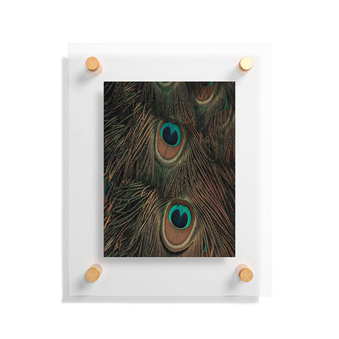 Ingrid Beddoes peacock feathers II Floating Acrylic Print