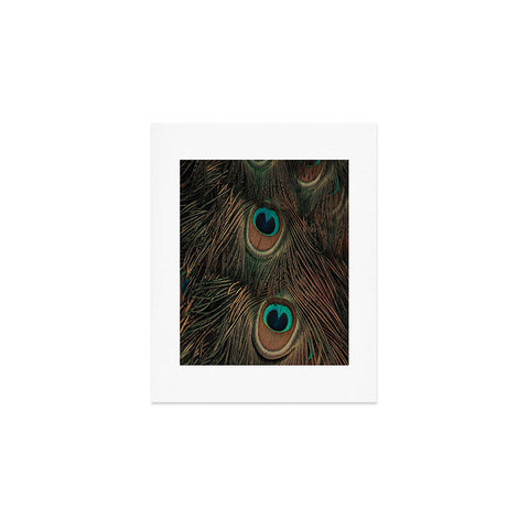 Ingrid Beddoes peacock feathers II Art Print