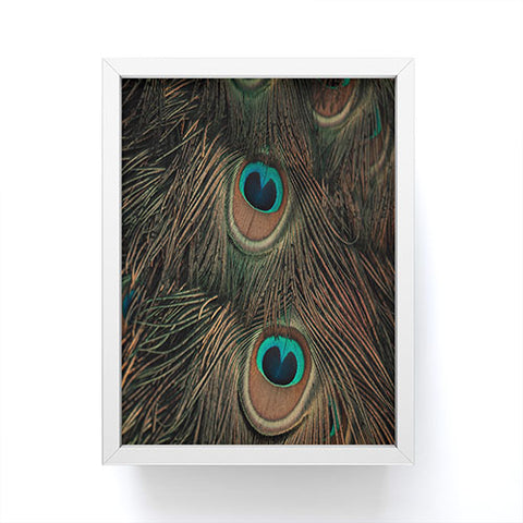 Ingrid Beddoes peacock feathers II Framed Mini Art Print