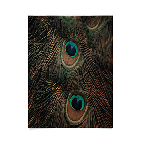 Ingrid Beddoes peacock feathers II Poster