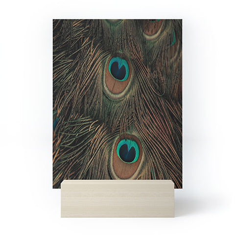 Ingrid Beddoes peacock feathers II Mini Art Print