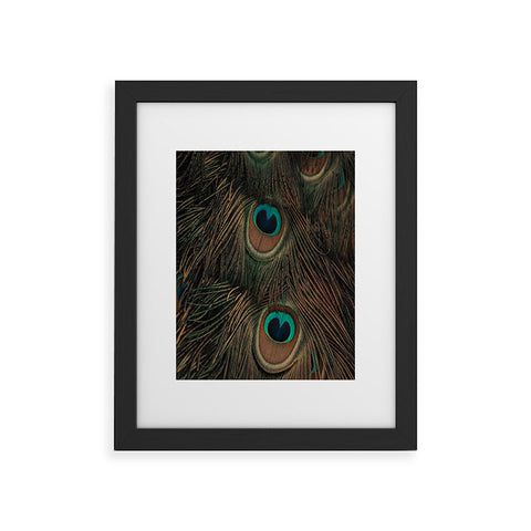 Ingrid Beddoes peacock feathers II Framed Art Print