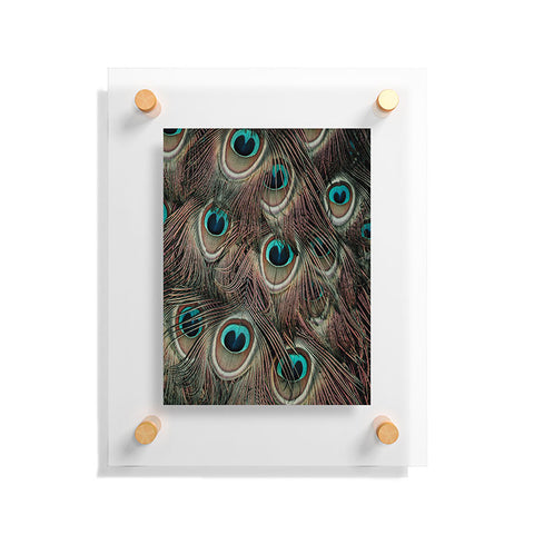 Ingrid Beddoes peacock feathers III Floating Acrylic Print