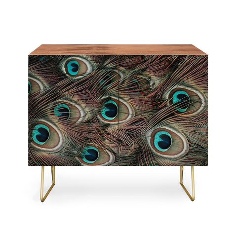 Ingrid Beddoes peacock feathers III Credenza