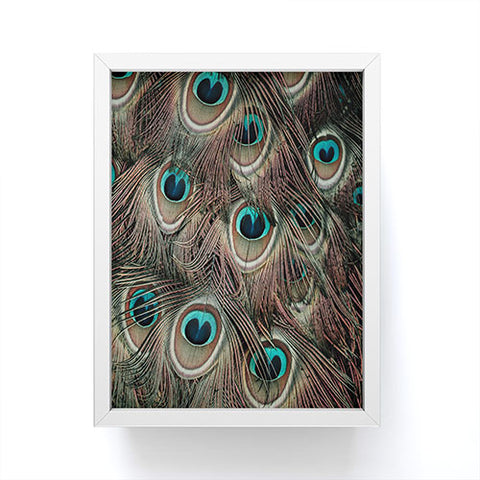 Ingrid Beddoes peacock feathers III Framed Mini Art Print