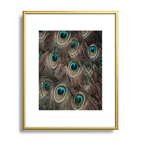 Ingrid Beddoes peacock feathers III Metal Framed Art Print