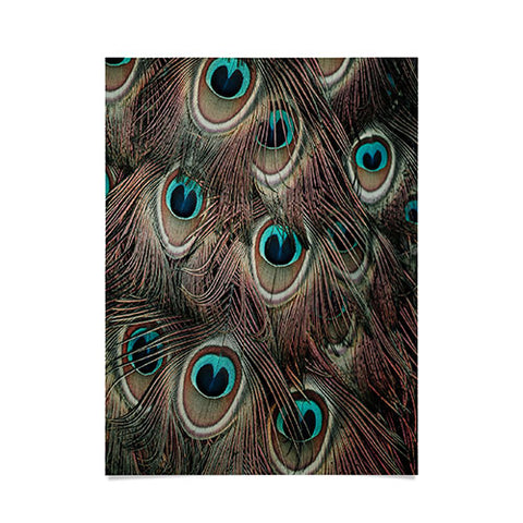 Ingrid Beddoes peacock feathers III Poster