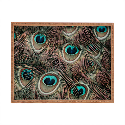 Ingrid Beddoes peacock feathers III Rectangular Tray