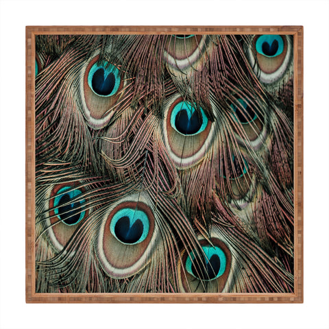 Ingrid Beddoes peacock feathers III Square Tray