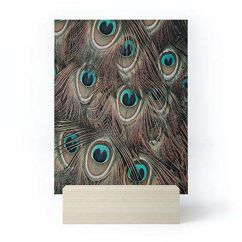 Ingrid Beddoes peacock feathers III Mini Art Print