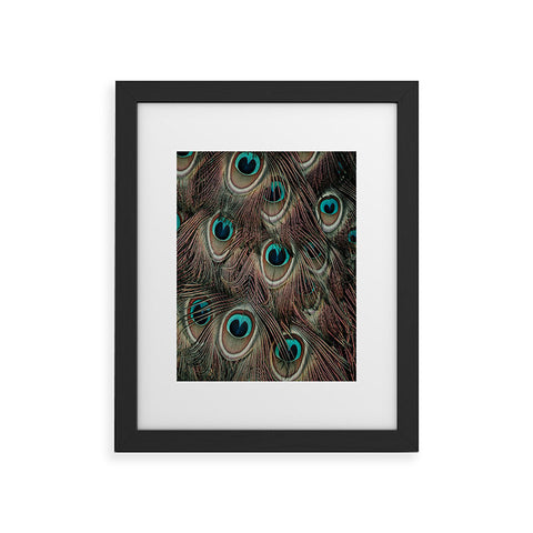 Ingrid Beddoes peacock feathers III Framed Art Print