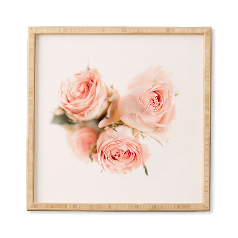 Ingrid Beddoes Rose pink lemonade Framed Wall Art