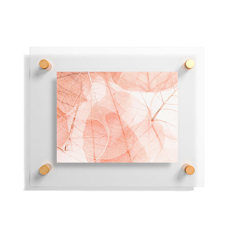 Ingrid Beddoes sun bleached apricot Floating Acrylic Print