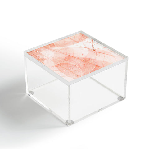 Ingrid Beddoes sun bleached apricot Acrylic Box