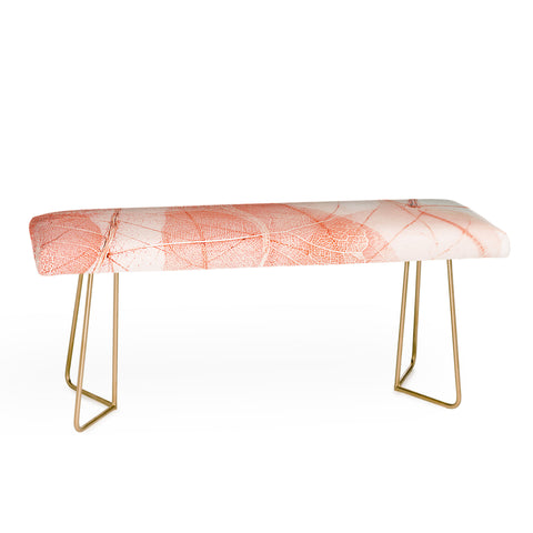 Ingrid Beddoes sun bleached apricot Bench