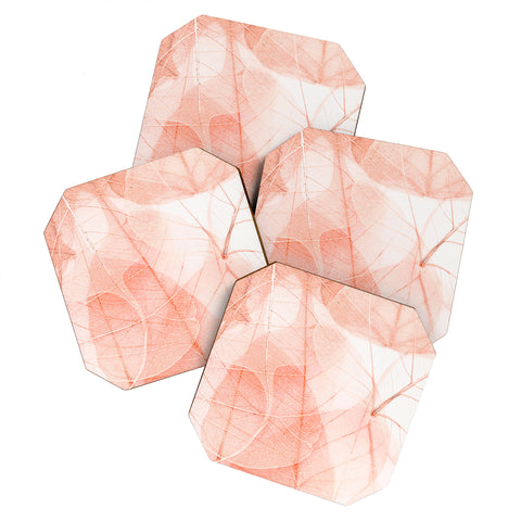 Ingrid Beddoes sun bleached apricot Coaster Set