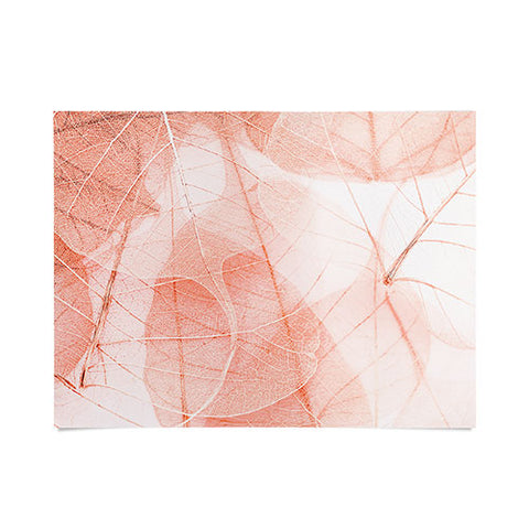 Ingrid Beddoes sun bleached apricot Poster