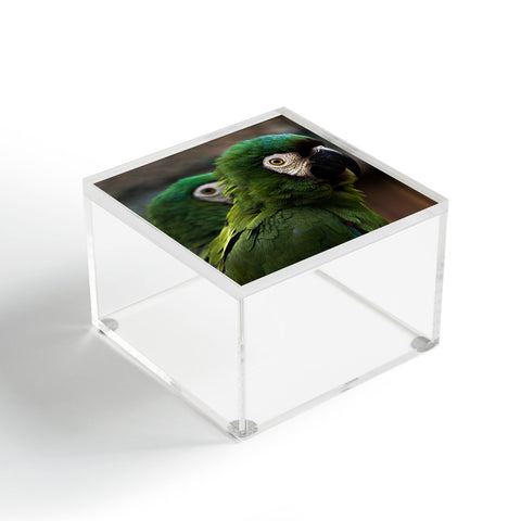 Ingrid Beddoes sweet talk Acrylic Box