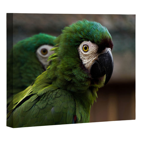 Ingrid Beddoes sweet talk Art Canvas