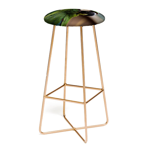 Ingrid Beddoes sweet talk Bar Stool