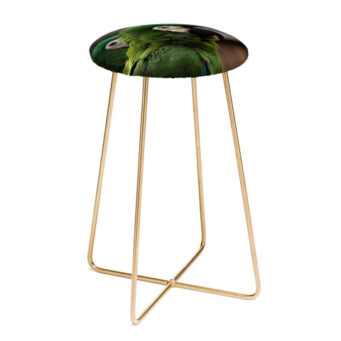 Ingrid Beddoes sweet talk Counter Stool