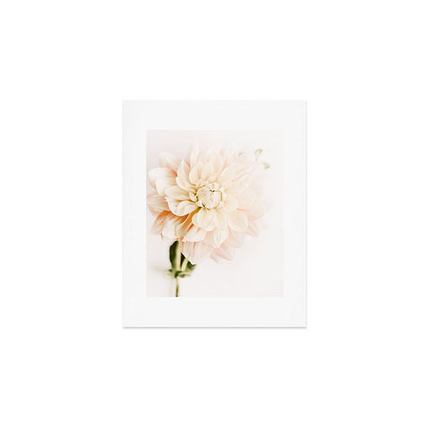 Ingrid Beddoes Vanilla Truffle Dahlia Art Print