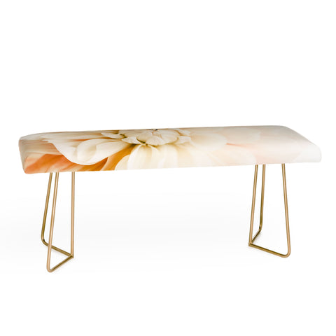 Ingrid Beddoes Vanilla Truffle Dahlia Bench