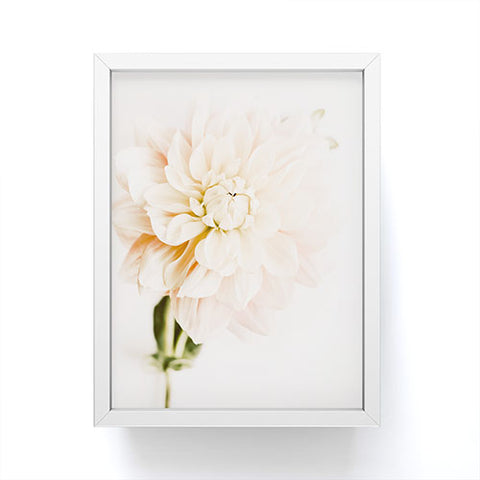 Ingrid Beddoes Vanilla Truffle Dahlia Framed Mini Art Print
